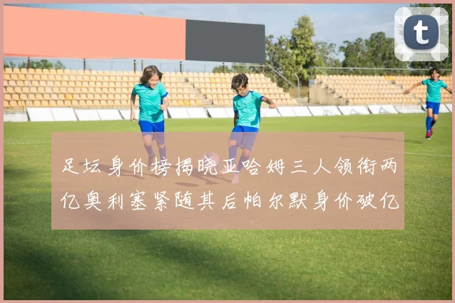 足坛身价榜揭晓亚哈姆三人领衔两亿奥利塞紧随其后帕尔默身价破亿