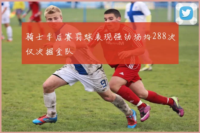 骑士季后赛罚球表现强劲场均288次仅次掘金队